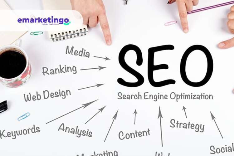 يعتبر سيو المواقع هو أساس تطوير المواقع